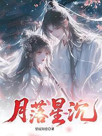 月落星沉 封面