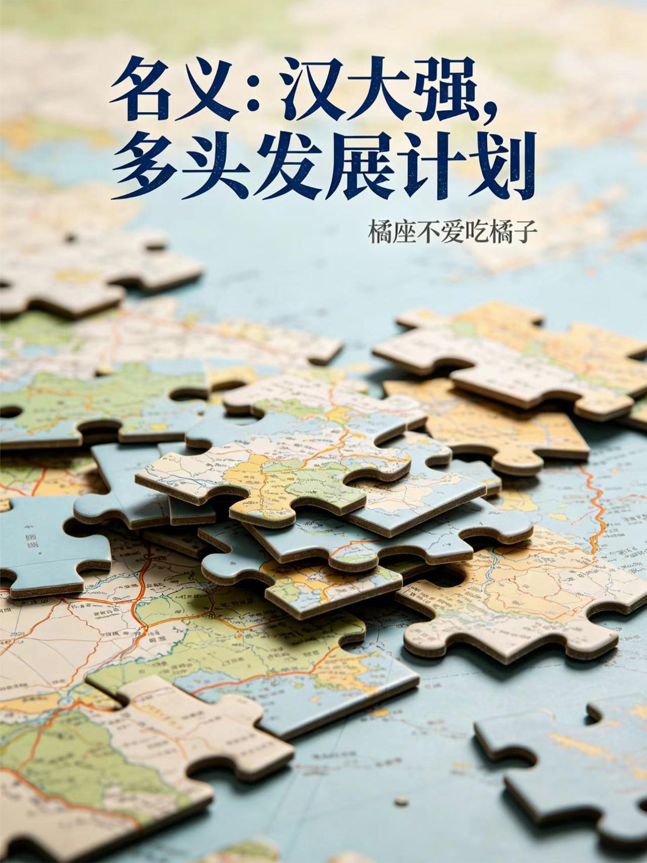 名義：漢大強，多頭發展計劃 封面