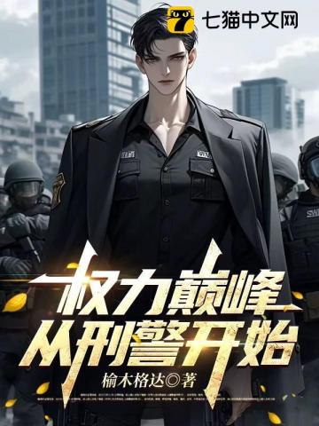 權力巔峰：從刑警開始 封面