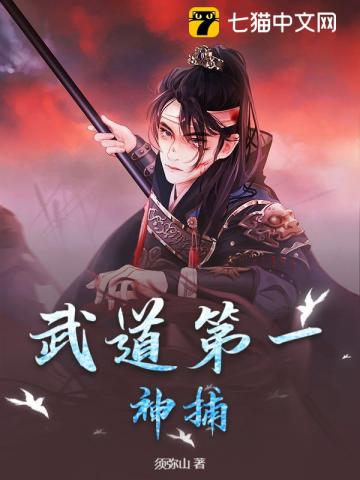 武道第一神捕 封面