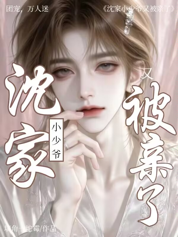 沈家小少爺又被親了 封面