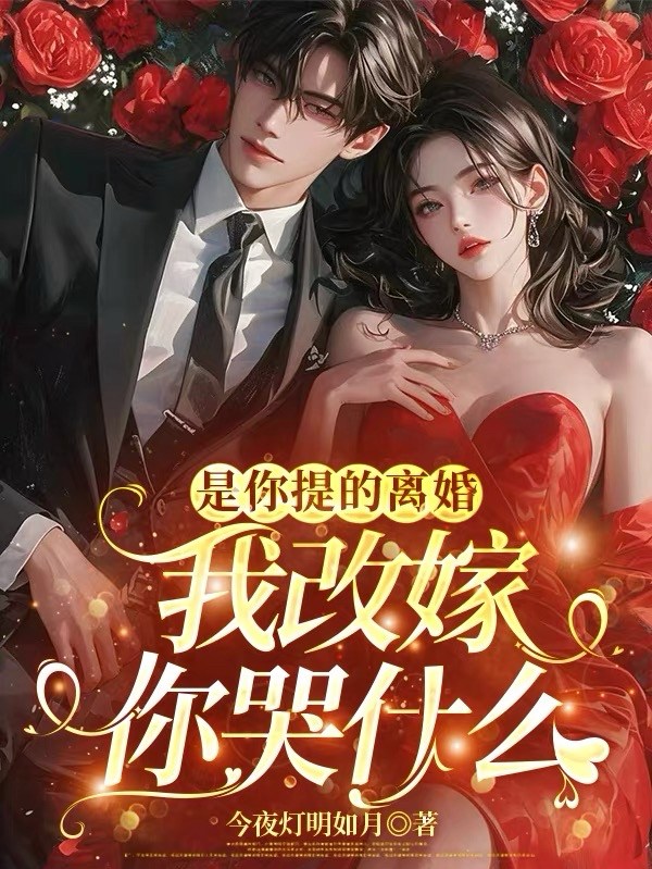 是你提的離婚，我改嫁你哭什麼 封面