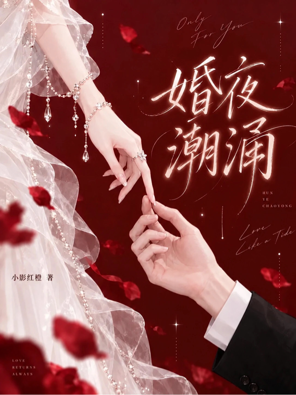 婚夜潮湧 封面