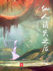 仙人消失之後 封面